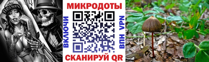сколько стоит  Темрюк  Псилоцибиновые грибы мицелий 